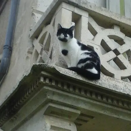 Mistoury Bed and Breakfast La Tour-Blanche