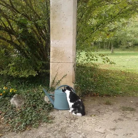 Mistoury Oda ve Kahvaltı