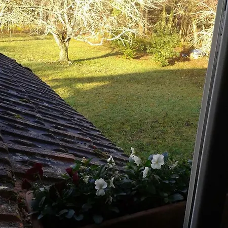 Mistoury Oda ve Kahvaltı 3*