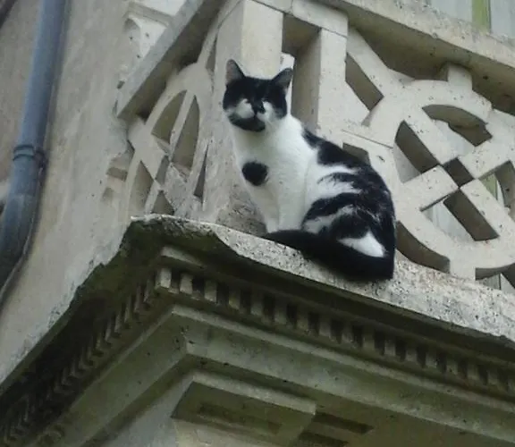 Mistoury Bed & Breakfast La Tour-Blanche