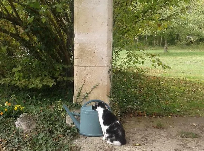 Mistoury Bed & Breakfast